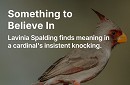 Memoir Land: Something to Believe In